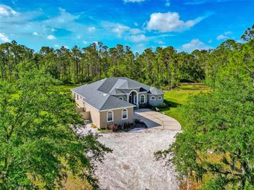 Expansive estate home with circular driveway and lush surrounding landscape offers privacy at 6407 213Th E St, Bradenton, FL 34211