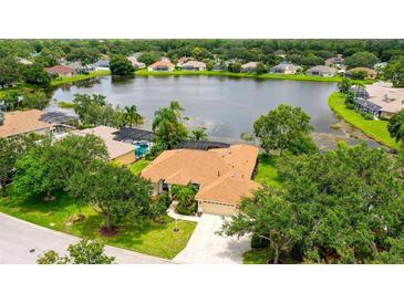 Beautiful lakefront home with a screened-in pool and mature landscaping at 11215 Rivers Bluff Cir, Lakewood Ranch, FL 34202