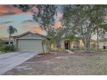 Inviting single-story home featuring a two-car garage, well-manicured lawn, and lush trees at 12805 Raysbrook Dr, Riverview, FL 33569
