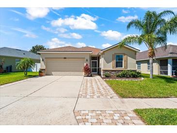Charming single-story home featuring a two-car garage, well-maintained lawn, and a beautiful palm tree at 1717 Bonita Bluff Ct, Ruskin, FL 33570