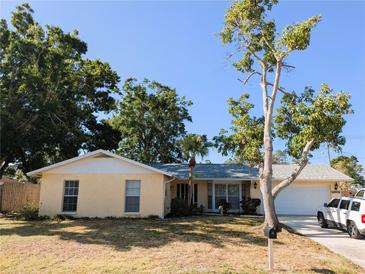 Charming single-story home featuring a well-maintained lawn, mature tree, and a welcoming front entrance at 2802 Jamaica St, Sarasota, FL 34231