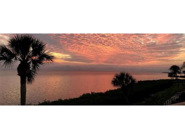 Scenic waterfront view featuring palm trees and a vibrant sunrise or sunset over the ocean at 3420 Wild Oak Bay Blvd # 120, Bradenton, FL 34210