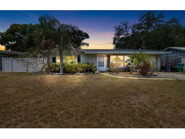 Charming home with palm trees, well-kept landscaping, and a quaint front walkway at 10827 Village Green Ave, Seminole, FL 33772