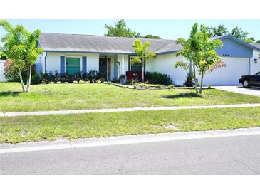 Charming single-story home with a well-manicured lawn and freshly planted landscaping, creating great curb appeal at 6704 Rosemary Dr, Tampa, FL 33625