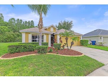 Inviting home featuring a well-maintained lawn, mature landscaping, and a two-car garage at 5618 Sheer Bliss Loop, Land O Lakes, FL 34639