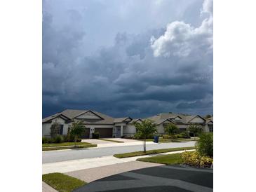 Street view of suburban homes featuring manicured lawns and inviting curb appeal at 9808 Campanula Ct, Land O Lakes, FL 34637