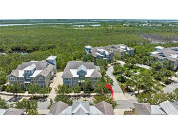 Aerial view of charming two-story homes surrounded by lush greenery and waterways, in a beautiful community at 315 Sapphire Lake Dr # 101, Bradenton, FL 34209