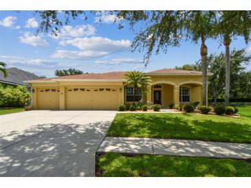 Charming single-story home featuring a three-car garage, manicured lawn, and tropical landscaping at 11009 Wildcat Dr, Riverview, FL 33579