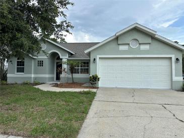 Charming single-story home with a well-manicured lawn and attached two-car garage at 185 Wood Dove Ave, Tarpon Springs, FL 34689