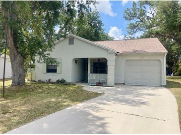 Charming single-story home with a well-maintained lawn and attached single car garage at 1081 E Corktree Cir, Port Charlotte, FL 33952