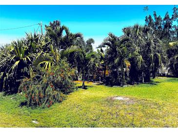 Landscaped front yard featuring lush tropical foliage and mature trees, creating a private outdoor space at 4344 Commercial St, Port Charlotte, FL 33953