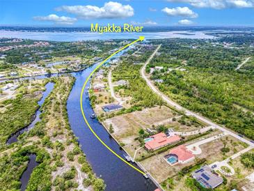 Aerial view showcasing the Myakka River flowing behind beautiful homes surrounded by lush greenery at 13295 Eisenhower Dr, Port Charlotte, FL 33953