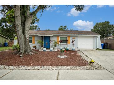 Charming single-story home features a well-manicured lawn, bright shutters and a vibrant blue front door at 3612 Patina Dr, Tampa, FL 33619