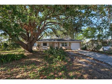 House exterior featuring a single-story home with a large tree and driveway at 1860 Bluebird Ln, Englewood, FL 34224