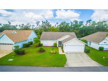 Charming single-story home boasts a well-manicured lawn, lush landscaping, and an inviting entrance at 399 Blue Springs Ct # 203, Englewood, FL 34223