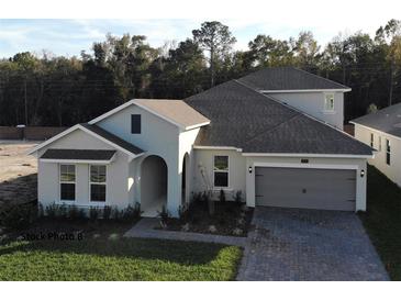 Charming single-Gathering home with a two-car garage and well-manicured lawn at 9558 Brave Buck Ave, Land O Lakes, FL 34638