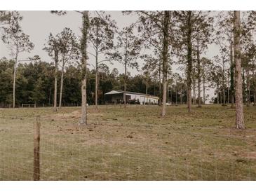 View of white barn with black roof and surrounding grass and woods at 18142 Powerline Rd, Dade City, FL 33523