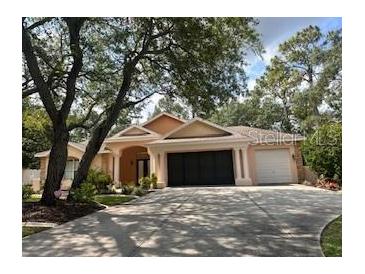 Lovely single-story home boasting mature landscaping and a multi-car garage at 7190 Raymond Pl, Spring Hill, FL 34607