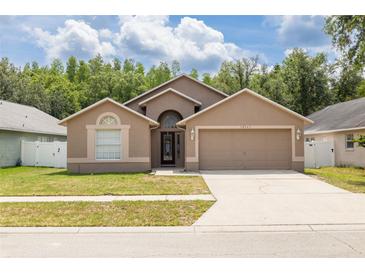 Tan single-story home with a two-car garage and well-manicured front lawn in a quiet suburban neighborhood at 18941 Twinberry Dr, Tampa, FL 33647
