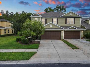 Photo one of 20217 Indian Rosewood Dr Tampa FL 33647 | MLS L4939803