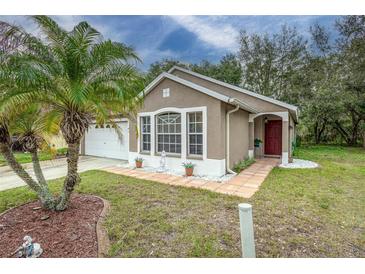 Photo one of 6505 Summer Cove Dr Riverview FL 33578 | MLS L4942127
