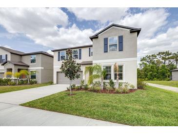 Photo one of 12971 Wildflower Meadow Dr Riverview FL 33579 | MLS L4943545