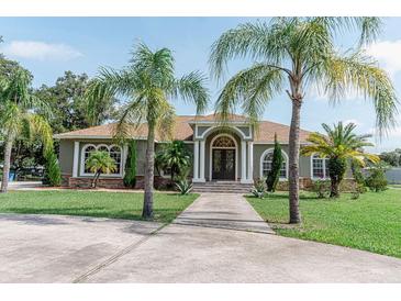 Charming home featuring a lush, green lawn, palm trees, and an inviting walkway to the beautiful double-door entrance at 2638 E Knights Griffin Rd Rd, Plant City, FL 33565