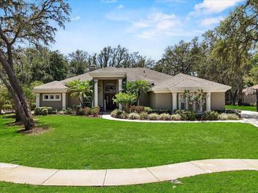 Stunning single-story home with lush landscaping and beautiful curb appeal on a bright sunny day at 6007 Hammock Hill Ave, Lithia, FL 33547