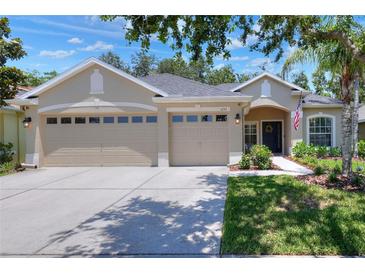 Charming single-story home with a three-car garage, manicured lawn, and inviting entrance, perfect for a Gathering at 1233 Emerald Hill Way, Valrico, FL 33594