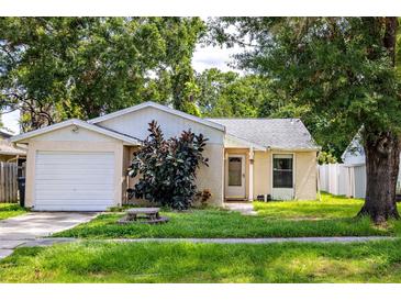 Charming single-story home with a well-maintained lawn and mature trees provides great curb appeal at 12212 Hidden Brook Dr, Tampa, FL 33624