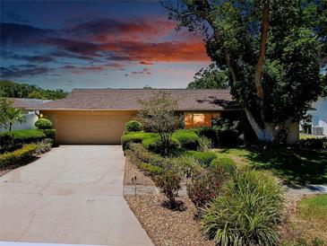Charming single-story home featuring a well-manicured lawn and a spacious two-car garage and long driveway at 810 Anchorage Ln, Palm Harbor, FL 34685