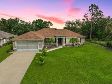 Charming single-story home featuring a well-maintained lawn, a two car garage and tropical landscaping at 2834 Coolidge Ave, North Port, FL 34286