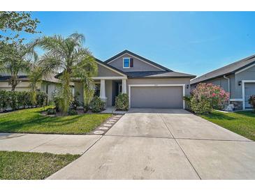 Charming single-Gathering home with a well-manicured lawn, mature landscaping, and a two-car garage at 12014 Creek Preserve Dr, Riverview, FL 33579