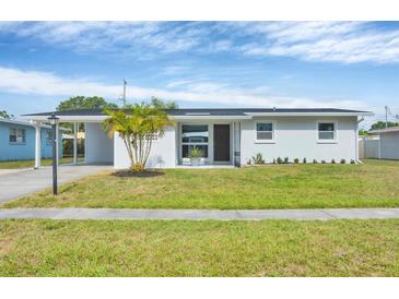 Charming single-story home featuring a well-manicured lawn and updated landscaping, complemented by a mature palm tree at 3616 Lalani Blvd, Sarasota, FL 34232