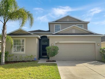 Photo one of 10315 Summer Azure Dr Riverview FL 33578 | MLS O6164295