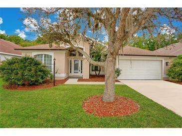 Photo one of 3419 101St E Ave Parrish FL 34219 | MLS O6179593