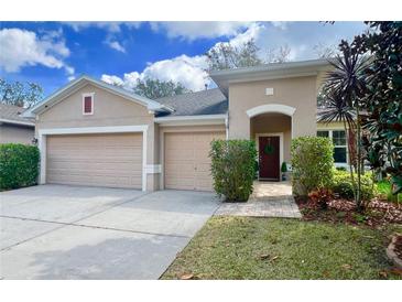 Photo one of 16005 Courtside View Dr Lithia FL 33547 | MLS O6182021