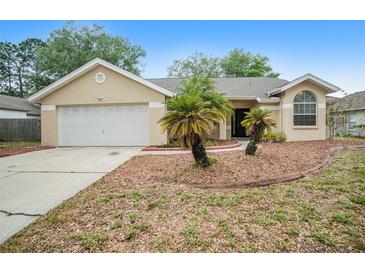 Photo one of 9801 Sunnyoak Dr Riverview FL 33569 | MLS O6187897