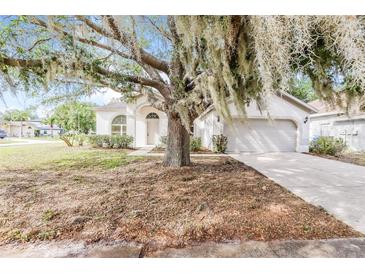 Photo one of 12402 Windswept Ave Riverview FL 33569 | MLS O6192571