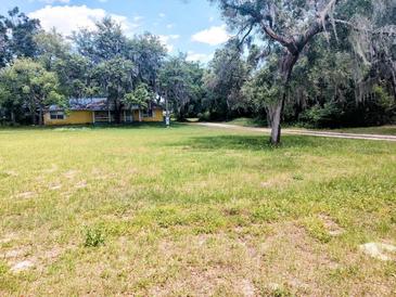 Photo one of 10704 3Rd St Riverview FL 33569 | MLS O6198367