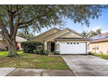 Photo one of 3103 Summer Cruise Dr Valrico FL 33594 | MLS O6241195