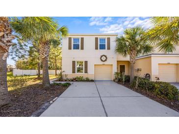 Inviting home exterior features a well-manicured lawn, tropical palm trees, and a private driveway leading to the garage at 12843 Buffalo Run Dr, Gibsonton, FL 33534