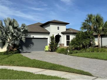 Photo one of 8394 Olive Brook Dr Wesley Chapel FL 33545 | MLS O6250249