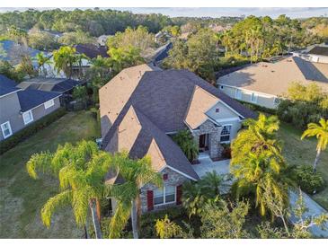 An elevated view of a single-Gathering home with mature landscaping and a neutral color palette, perfect for a serene living at 11909 Mandevilla Ct, Tampa, FL 33626