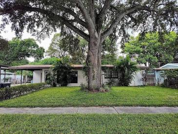 Ranch style home with mature tree and well-manicured lawn at 7116 Flounder Dr, Tampa, FL 33617