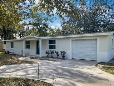 Updated single story home with a landscaped lawn and attached garage at 10009 Connecticut St, Gibsonton, FL 33534