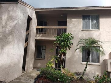 Tan building exterior with stairs and landscaping at 7503 Pitch Pine Cir # 77, Tampa, FL 33617