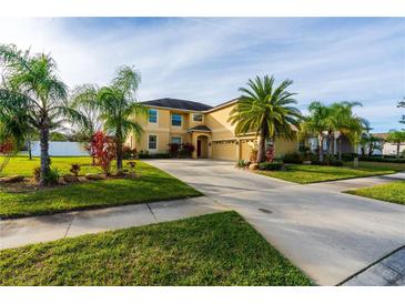 Two-story house with palm trees and a large driveway at 20102 Blue Daze Ave, Tampa, FL 33647