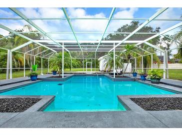 Stunning in ground pool with black lava rock accents and tropical landscaping at 11419 Donneymoor Dr, Riverview, FL 33569
