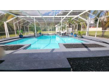 A spacious pool with a screen enclosure and paved deck is surrounded by tropical landscaping and offers privacy at 11419 Donneymoor Dr, Riverview, FL 33569